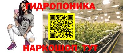 марихуана Краснознаменск