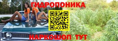 марихуана Краснознаменск