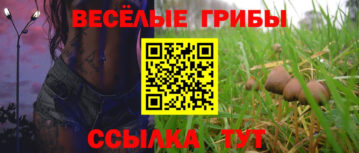 Галлюциногенные грибы ЛСД Кострома