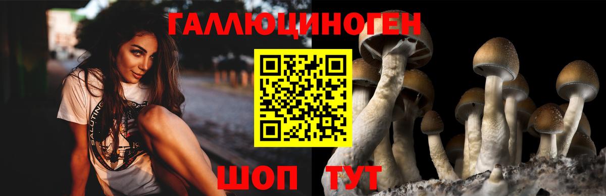 Кострома  Псилоцибиновые грибы Cubensis  Вход с VPN 